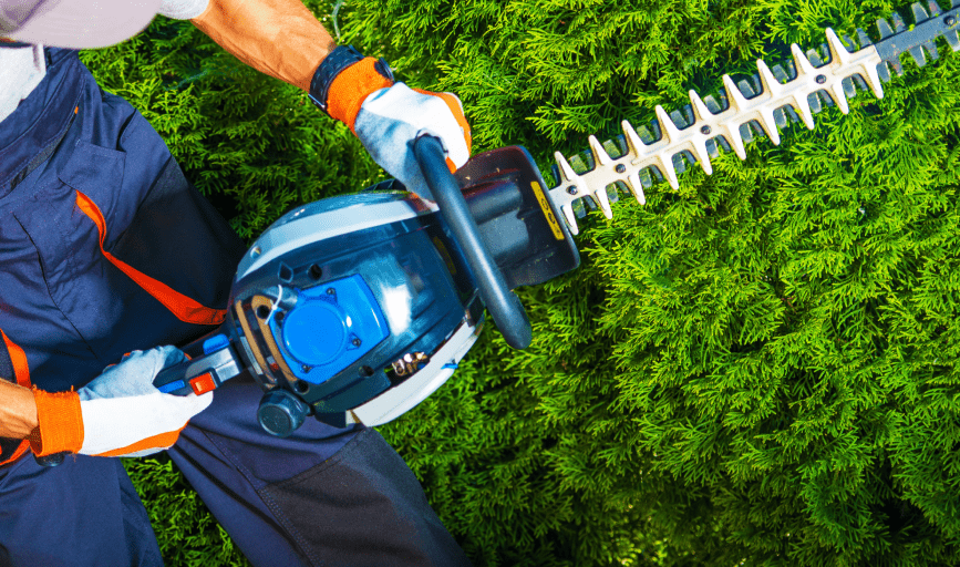 BUSH TRIMMING