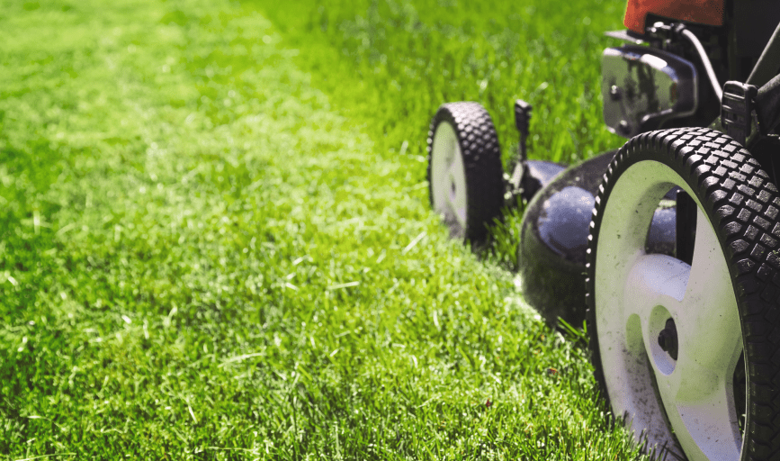 LAWN MOWING